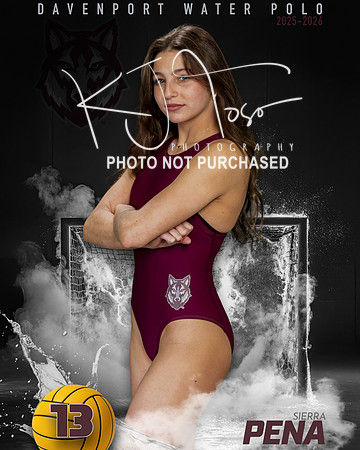 DHS_WP_Ind1-540