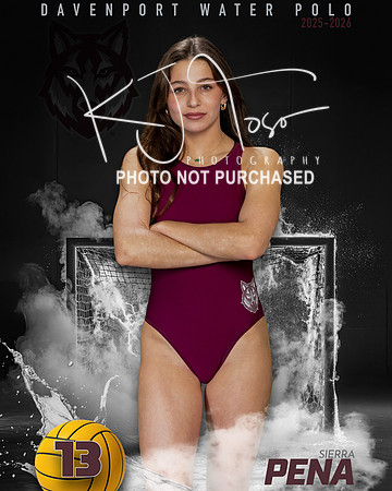 DHS_WP_Ind1-542