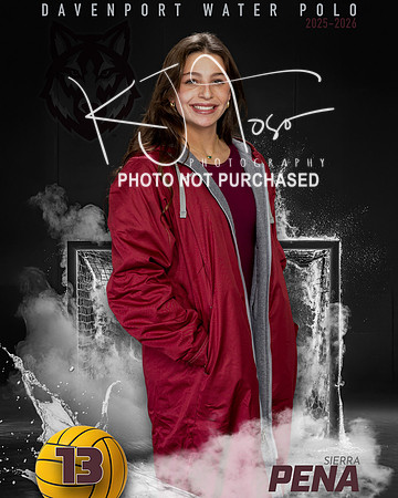 DHS_WP_Ind1-539