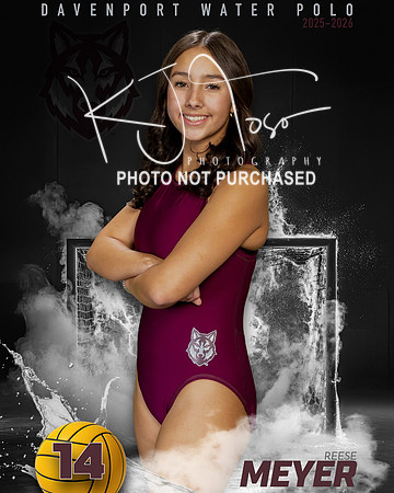 DHS_WP_Ind1-456