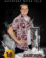 DHS_WP_Ind1-500