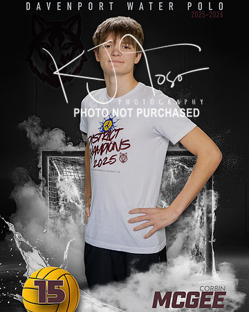 DHS_WP_Ind1-175