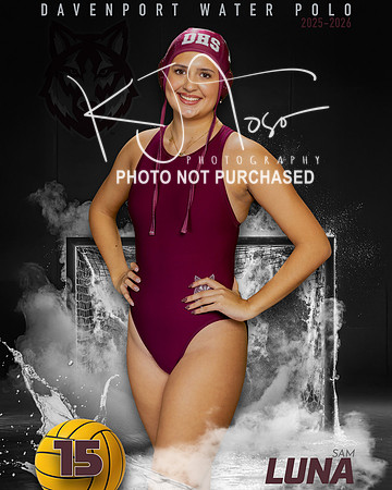 DHS_WP_Ind1-476