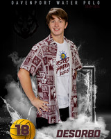DHS_WP_Ind1-122