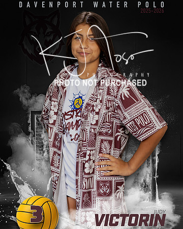 DHS_WP_Ind1-336