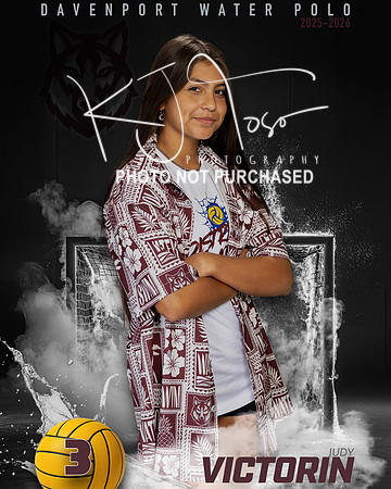 DHS_WP_Ind1-339