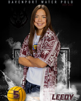 DHS_WP_Ind1-431