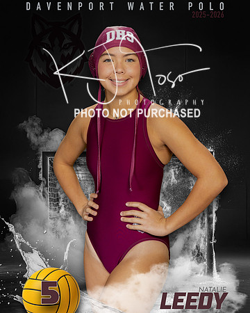 DHS_WP_Ind1-442