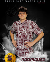 DHS_WP_Ind1-480