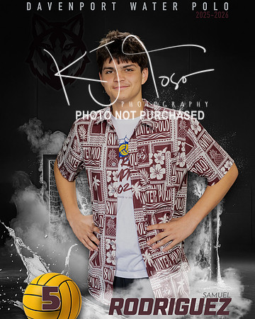 DHS_WP_Ind1-481