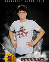 DHS_WP_Ind1-485