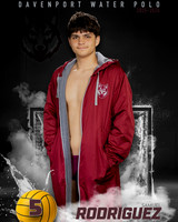 DHS_WP_Ind1-487