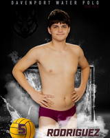 DHS_WP_Ind1-491