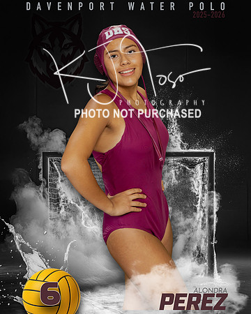 DHS_WP_Ind1-81
