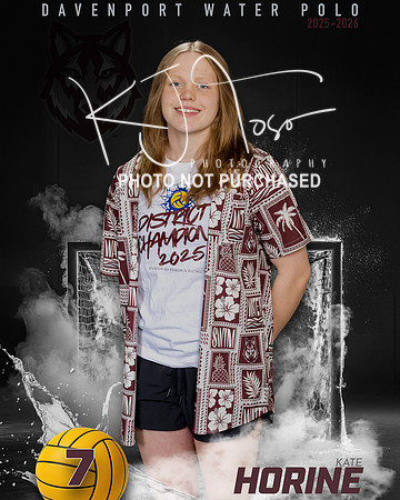 DHS_WP_Ind1-386