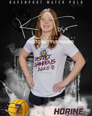 DHS_WP_Ind1-391