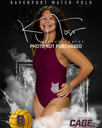 DHS_WP_Ind1-145