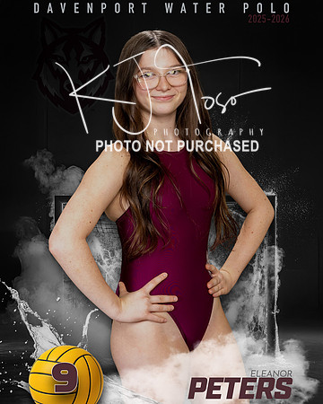 DHS_WP_Ind1-232