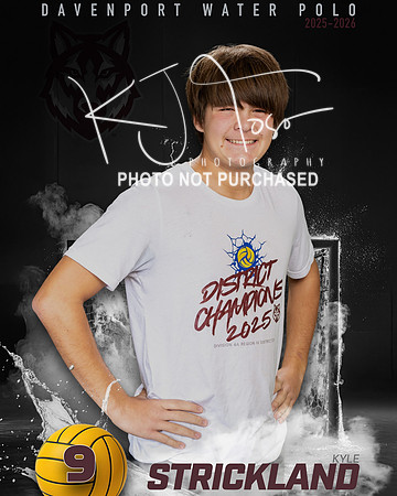 DHS_WP_Ind1-407