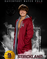 DHS_WP_Ind1-408