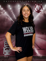 DHS_SWIM_Ind-191