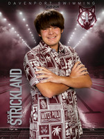 DHS_SWIM_Ind-131