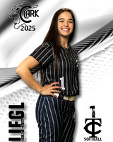 CHS_VSB_Ind1-17