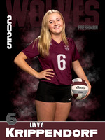 DHS_VB_9th_Ind1-24