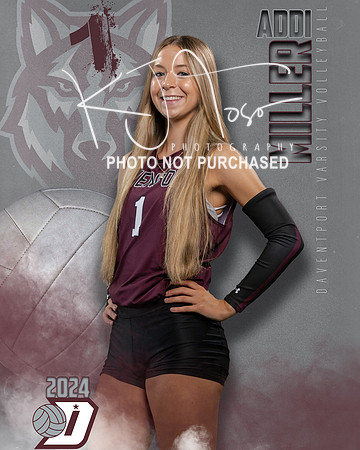 DHS_VAR_VB_IND1-1