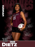 DHS_VB_JV_Ind1-62