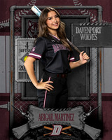 DHS_SB_JV_Ind-54