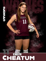 DHS_VB_JV_Ind1-43