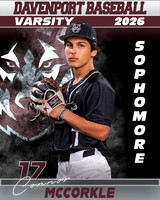DHS_BB_VAR_Ind1-132