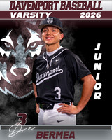 DHS_BB_VAR_Ind1-33