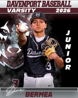DHS_BB_VAR_Ind1-248