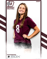 DHS_9th_VB_IND2-7