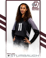DHS_JV_VB_IND2-11