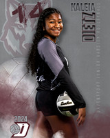 DHS_JV_VB_IND1-60
