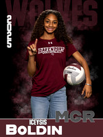DHS_VB_JV_Ind1-48