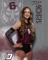 DHS_VAR_VB_IND1-21