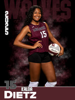 DHS_VB_JV_Ind1-46