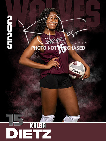 DHS_VB_JV_Ind1-46