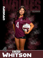 DHS_VB_9th_Ind1-31