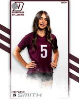 DHS_9th_VB_IND2-16