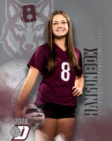 DHS_9th_VB_IND1-31