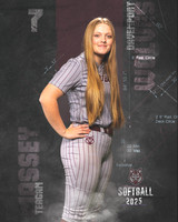 DHS_SB_V_Ind2-22
