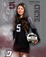 DHS_JV_VB_IND1-41