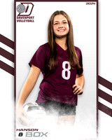 DHS_9th_VB_IND2-31