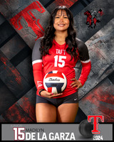 THS_VAR_VB_IND2-81