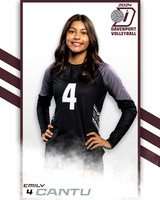 DHS_JV_VB_IND2-4